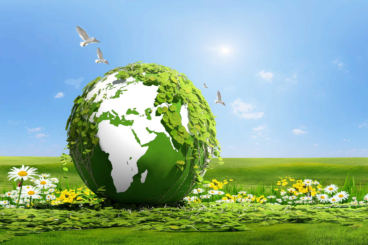 yesil_odak_kati_atik_yonetimi_2